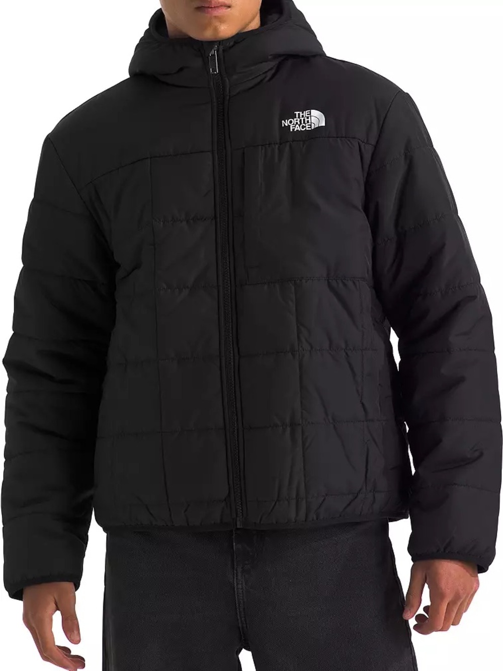 The North Face Boys' Reversible Shasta Hooded Full-Zip Jacket *read description